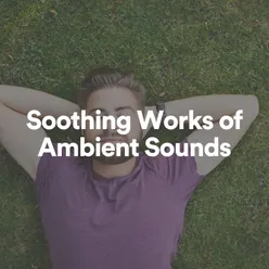 Soothing Works of Ambient Sounds, Pt. 10
