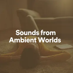 Sounds from Ambient Worlds, Pt. 8