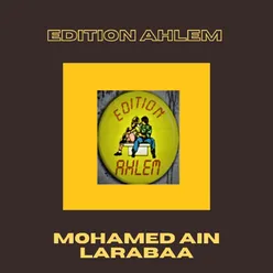 Mohamed Ain Larabaa