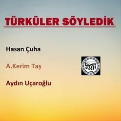 Türküler Söyledik