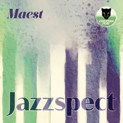 Jazzspect Radio Edit