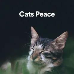 Cats Peace