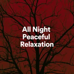 All Night Peaceful Relaxation, Pt. 3