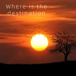 Where is the destination