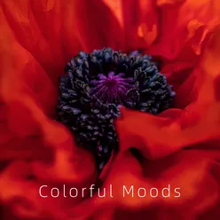 Colorful Moods