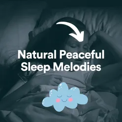 Natural Peaceful Sleep Melodies, Pt. 1