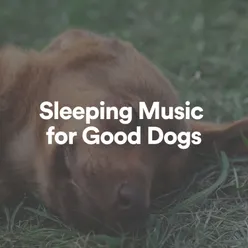 Sleeping Music for Good Dogs