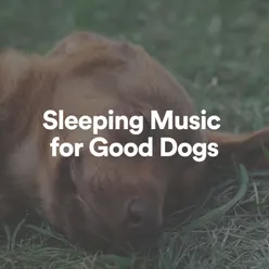 Sleeping Music for Good Dogs, Pt. 7