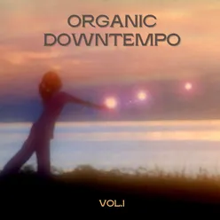 Organic Downtempo, Vol. 1