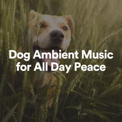 Dog Ambient Music for All Day Peace