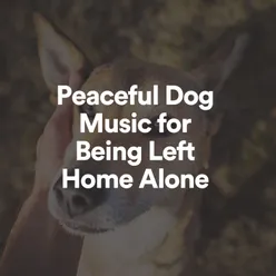 Peaceful Dog Music for Being Left Home Alone, Pt. 2
