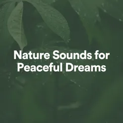 Nature Sounds for Peaceful Dreams, Pt. 1