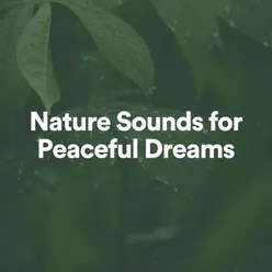 Nature Sounds for Peaceful Dreams, Pt. 36