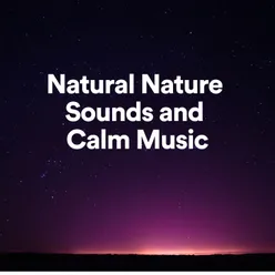 Natural Nature Sounds and Calm Music, Pt. 7