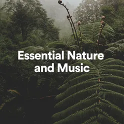 Essential Nature and Music, Pt. 1