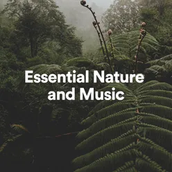 Essential Nature and Music, Pt. 48