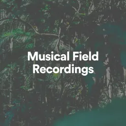 Musical Field Recordings, Pt. 7