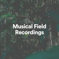 Musical Field Recordings, Pt. 8