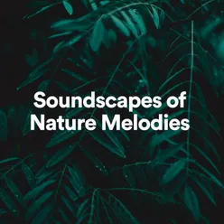 Soundscapes of Nature Melodies, Pt. 24