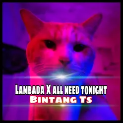 Lambada X All Need Tonight