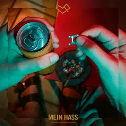 Mein Hass