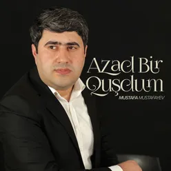 Azad Bir Quşdum