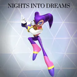 Suburban Museum From "Nights into Dreams"