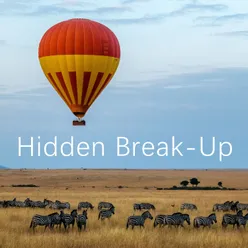Hidden Break-Up