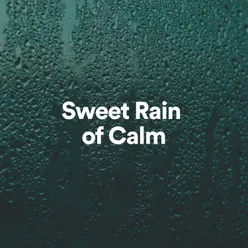 Sweet Rain of Calm