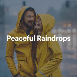 Peaceful Raindrops