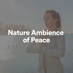 Nature Ambience of Peace, Pt. 21
