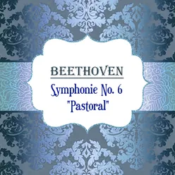 Symphony No. 6 in B-Flat Major, Op. 68 "Pastoral": II. Scene am Bach. Andante molto moto
