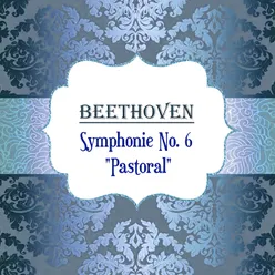 Symphony No. 6 in F-Sharp Minor, Op. 68 "Pastoral": IV. Gewitter. Sturm. Allegro