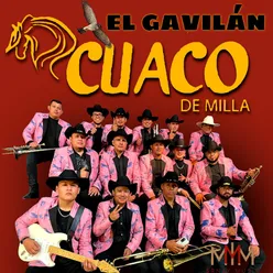 El Gavilán