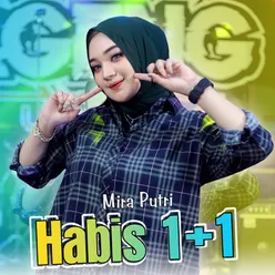 Habis 1 + 1