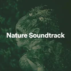 Nature Soundtrack, Pt. 49