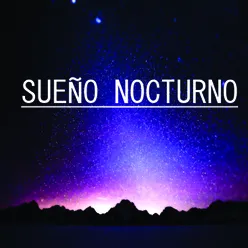 SUEÑO NOCTURNO