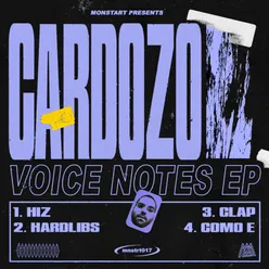 Voice Notes