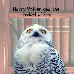 Harry Potter and the Goblet of Fire Piano Themes