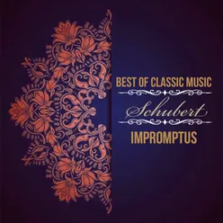 Vier Impromptus in G-Flat Major, D. 899: III. Andante