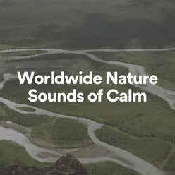 Worldwide Nature Sounds of Calm, Pt. 5