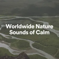 Worldwide Nature Sounds of Calm, Pt. 57