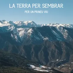 La Terra per sembrar