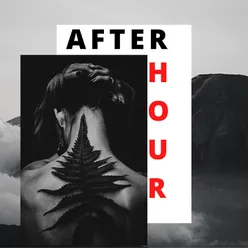 Afterhour The Deephouse Selection