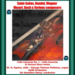 Cello Concerto in E Minor, Op. 85: I. Adagio
