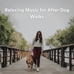 Relaxing Music for After Dog Walks
