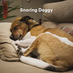 Snoring Doggy