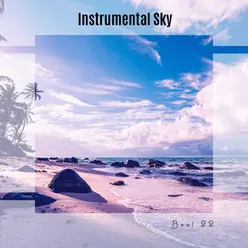 Instrumental Sky Best 22