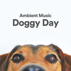 Ambient Music Doggy Day, Pt. 8
