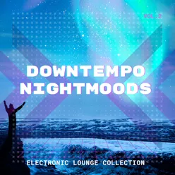 Downtempo Nightmoods, Vol. 2 Electronic Lounge Collection